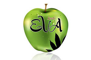 Eva Seeds
