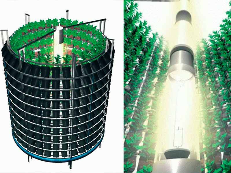 Вертикальный гровинг Вертикальный гров