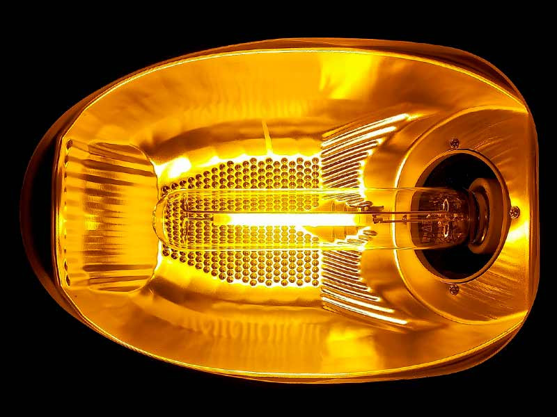 ДНаТ для выращивания ДНаТ для марихуаны