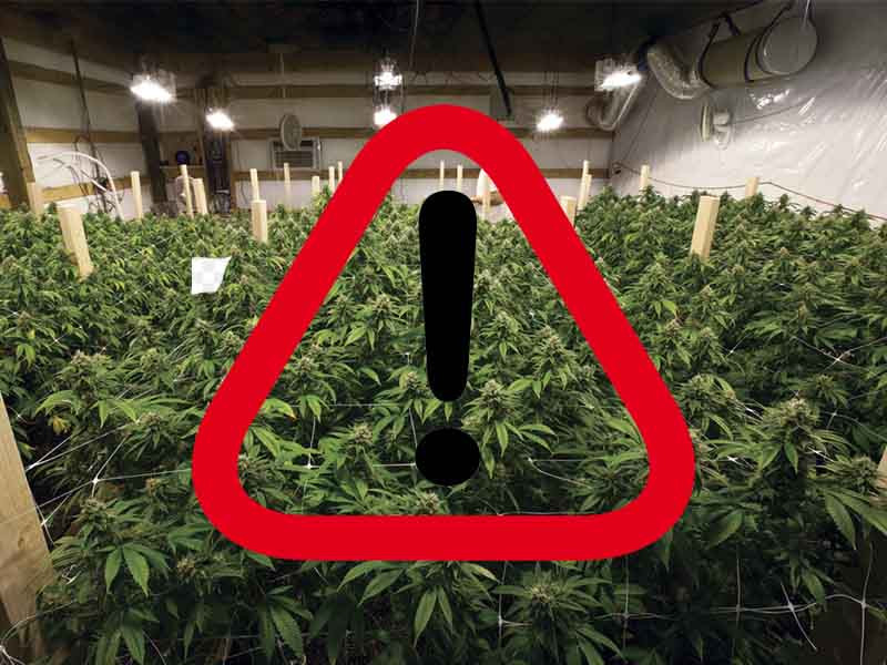 Ошибки при выращивании Ошибки гровера