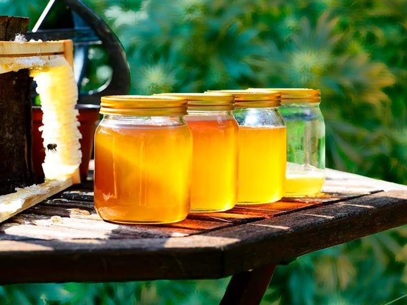 Виды конопляного мёда Каннабисный мёд