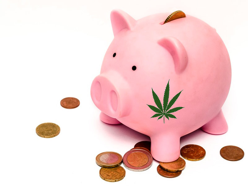 Доступные по цене автоцветы конопли Не дорогие автоцветы каннабиса