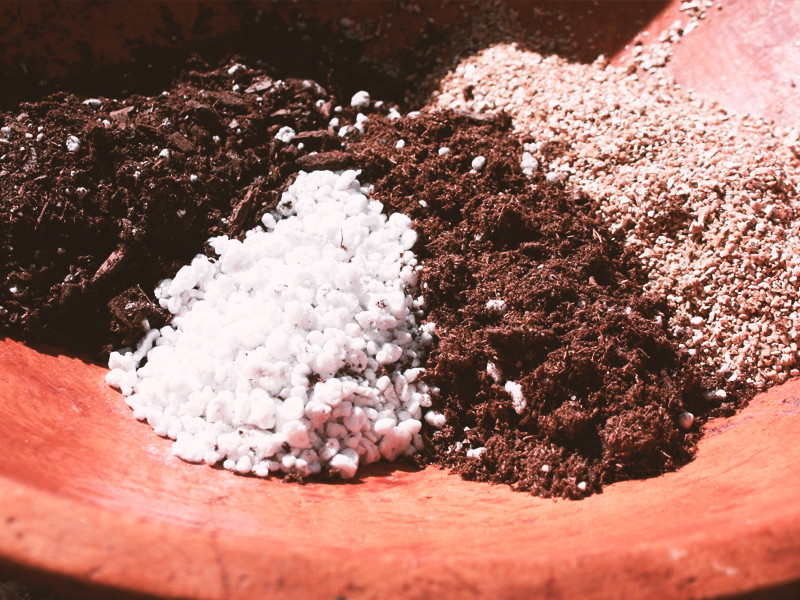 Отличный субстрат для выращивания конопли Субстрат для выращивания каннабиса