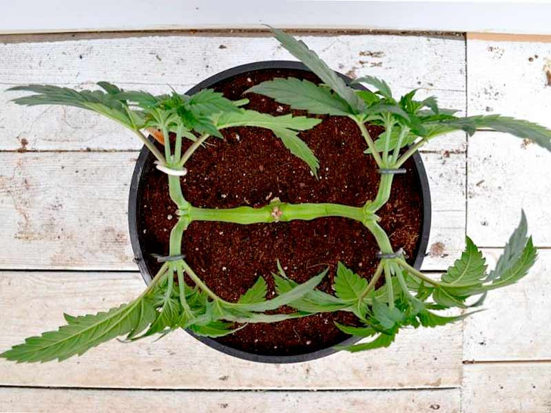 Main-Lining, вид сверху Main-Lining метод